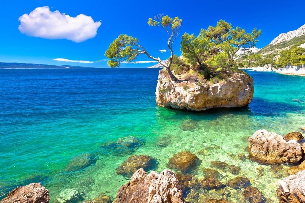 Holiday Home Perunika Zezevica Ngoại thất bức ảnh